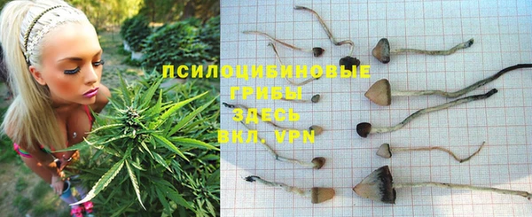 экстази Бородино