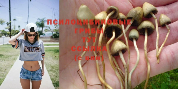 экстази Бородино