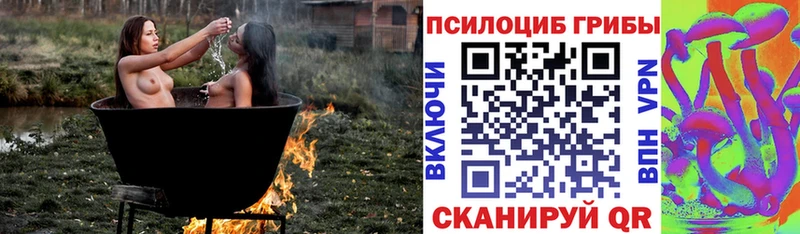 где продают наркотики  Венёв  Псилоцибиновые грибы MAGIC MUSHROOMS 